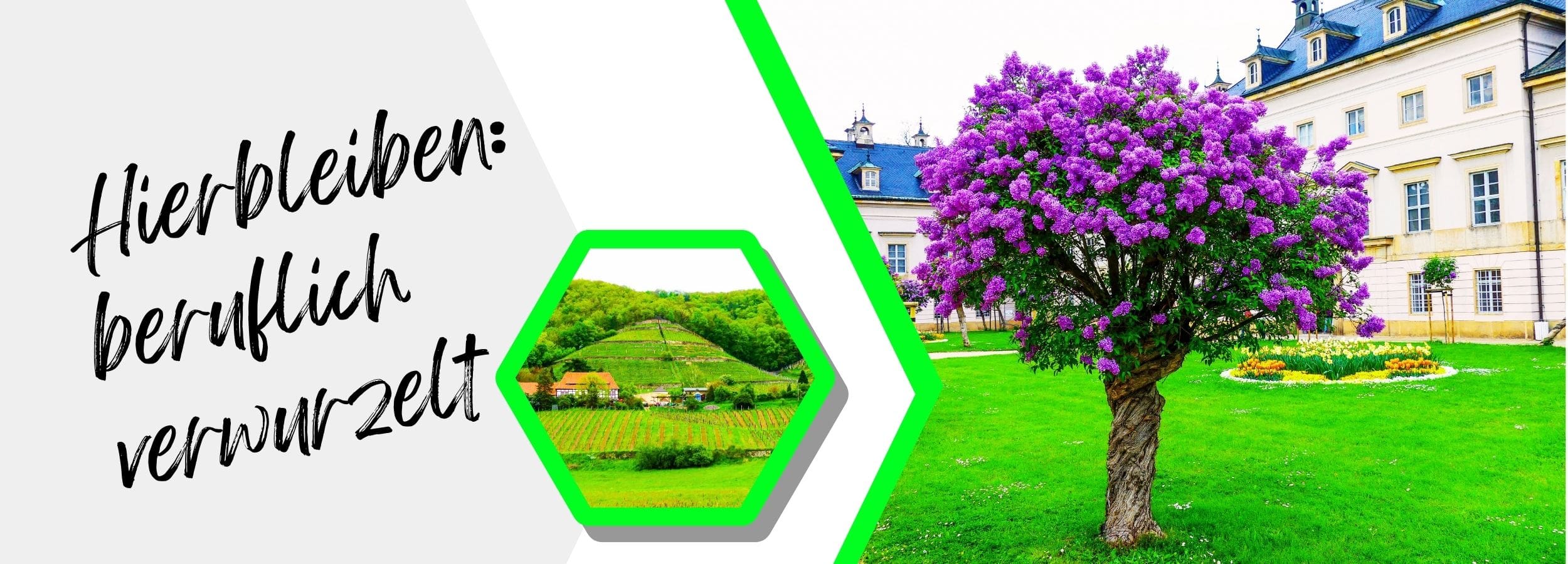 Pillnitz