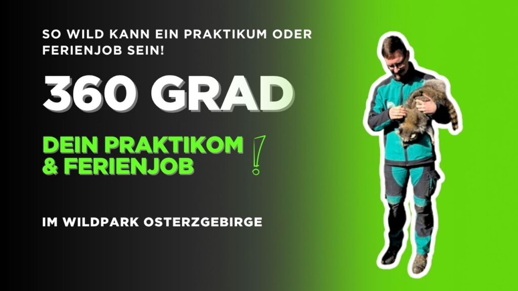 Praktikum im Wildpark Osterzgebirge